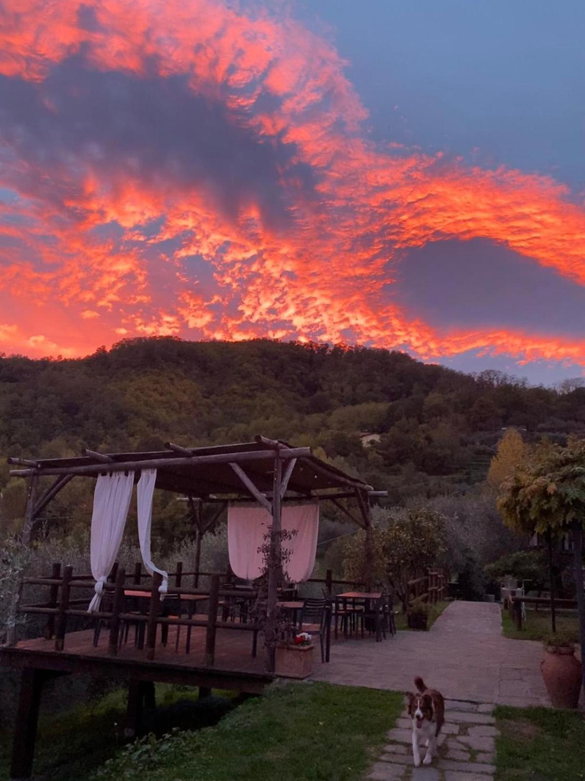 MulazzoAgriturismo Ca Di Rossi别墅 外观 照片