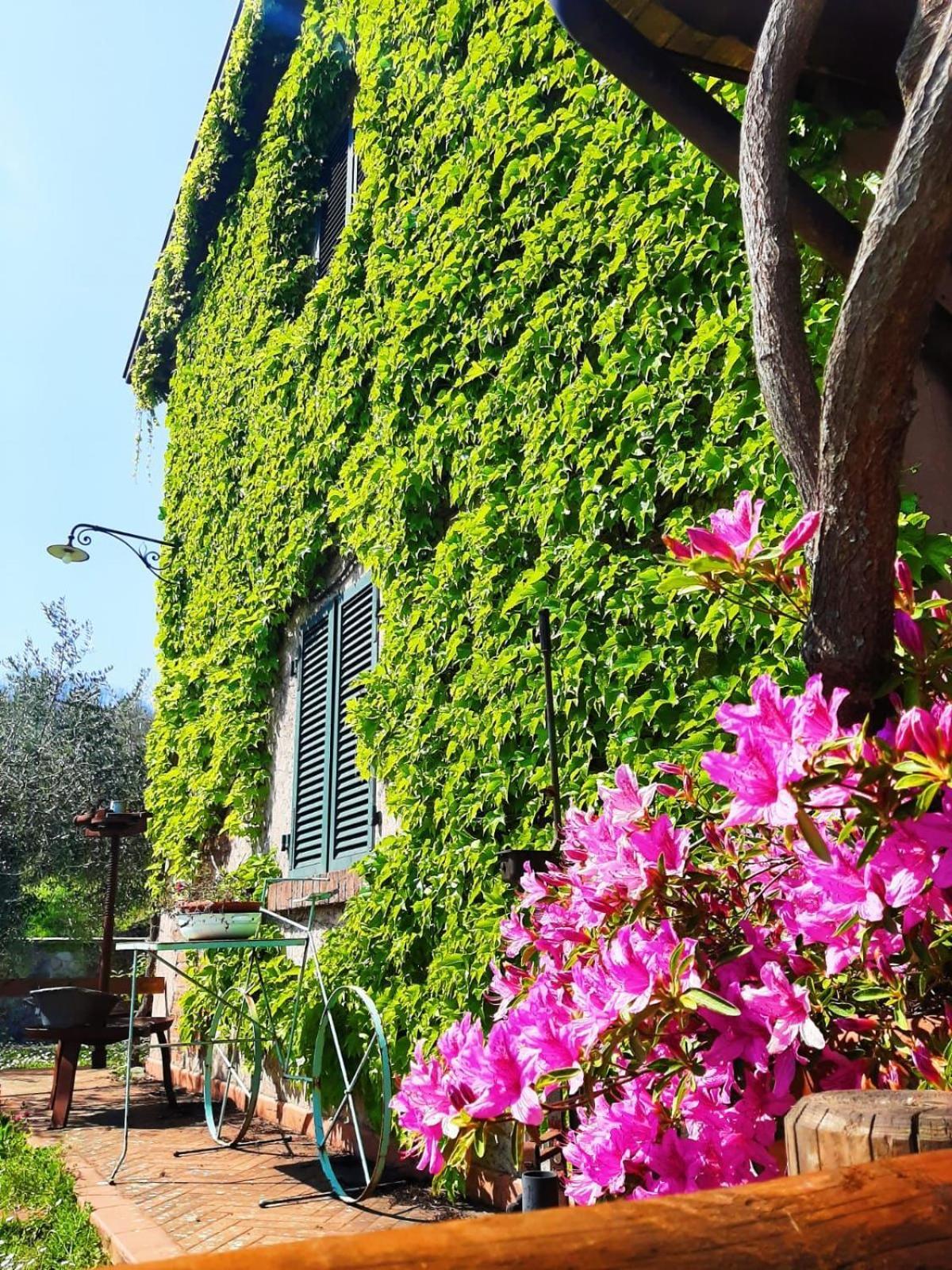 MulazzoAgriturismo Ca Di Rossi别墅 外观 照片
