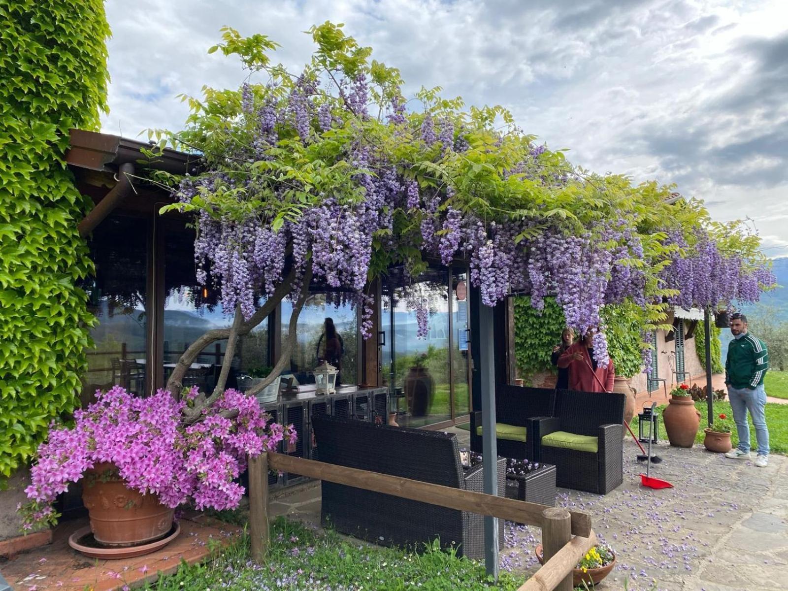 MulazzoAgriturismo Ca Di Rossi别墅 外观 照片